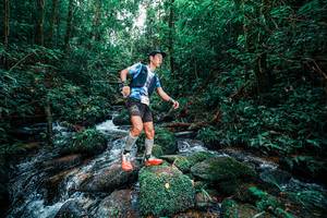 BIB: 
                            <button type="button" onclick="openModal(25244828)" class="btn btn-primary btn-sm float-right btn-popup" data-toggle="modal" data-target=".modal-high-quality">
                        <i class="fas fa-shopping-cart"></i> Add to Cart
                    </button>
                                            <button type="button" onclick="isThisMe(25244828, true)" class="btn btn-success btn-sm float-right btn-popup btn-isme hidden" data-toggle="tooltip" data-placement="bottom" title="นี่คือรูปของคุณใช่ไหม คลิกที่นี่เพื่อเอาเข้าอัลบั้ม">
                        <i class="fas fa-plus"></i> Add to album
                    </button>
                    <button type="button" onclick="isThisMe(25244828, false)" class="btn btn-warning btn-sm float-right btn-popup btn-isnotme hidden">
                        <i class="fas fa-ban"></i> Remove from album
                    </button>