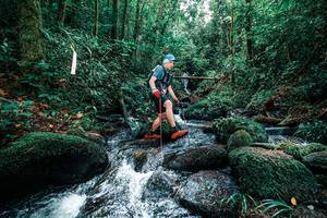 BIB: 
                            <button type="button" onclick="openModal(25245660)" class="btn btn-primary btn-sm float-right btn-popup" data-toggle="modal" data-target=".modal-high-quality">
                        <i class="fas fa-shopping-cart"></i> Add to Cart
                    </button>
                                            <button type="button" onclick="isThisMe(25245660, true)" class="btn btn-success btn-sm float-right btn-popup btn-isme hidden" data-toggle="tooltip" data-placement="bottom" title="นี่คือรูปของคุณใช่ไหม คลิกที่นี่เพื่อเอาเข้าอัลบั้ม">
                        <i class="fas fa-plus"></i> Add to album
                    </button>
                    <button type="button" onclick="isThisMe(25245660, false)" class="btn btn-warning btn-sm float-right btn-popup btn-isnotme hidden">
                        <i class="fas fa-ban"></i> Remove from album
                    </button>