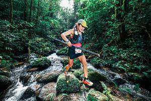 BIB: 
                            <button type="button" onclick="openModal(25244584)" class="btn btn-primary btn-sm float-right btn-popup" data-toggle="modal" data-target=".modal-high-quality">
                        <i class="fas fa-shopping-cart"></i> Add to Cart
                    </button>
                                            <button type="button" onclick="isThisMe(25244584, true)" class="btn btn-success btn-sm float-right btn-popup btn-isme hidden" data-toggle="tooltip" data-placement="bottom" title="นี่คือรูปของคุณใช่ไหม คลิกที่นี่เพื่อเอาเข้าอัลบั้ม">
                        <i class="fas fa-plus"></i> Add to album
                    </button>
                    <button type="button" onclick="isThisMe(25244584, false)" class="btn btn-warning btn-sm float-right btn-popup btn-isnotme hidden">
                        <i class="fas fa-ban"></i> Remove from album
                    </button>