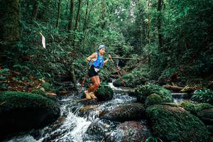 BIB: 
                            <button type="button" onclick="openModal(25245336)" class="btn btn-primary btn-sm float-right btn-popup" data-toggle="modal" data-target=".modal-high-quality">
                        <i class="fas fa-shopping-cart"></i> Add to Cart
                    </button>
                                            <button type="button" onclick="isThisMe(25245336, true)" class="btn btn-success btn-sm float-right btn-popup btn-isme hidden" data-toggle="tooltip" data-placement="bottom" title="นี่คือรูปของคุณใช่ไหม คลิกที่นี่เพื่อเอาเข้าอัลบั้ม">
                        <i class="fas fa-plus"></i> Add to album
                    </button>
                    <button type="button" onclick="isThisMe(25245336, false)" class="btn btn-warning btn-sm float-right btn-popup btn-isnotme hidden">
                        <i class="fas fa-ban"></i> Remove from album
                    </button>