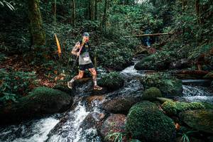 BIB: 
                            <button type="button" onclick="openModal(25244118)" class="btn btn-primary btn-sm float-right btn-popup" data-toggle="modal" data-target=".modal-high-quality">
                        <i class="fas fa-shopping-cart"></i> Add to Cart
                    </button>
                                            <button type="button" onclick="isThisMe(25244118, true)" class="btn btn-success btn-sm float-right btn-popup btn-isme hidden" data-toggle="tooltip" data-placement="bottom" title="นี่คือรูปของคุณใช่ไหม คลิกที่นี่เพื่อเอาเข้าอัลบั้ม">
                        <i class="fas fa-plus"></i> Add to album
                    </button>
                    <button type="button" onclick="isThisMe(25244118, false)" class="btn btn-warning btn-sm float-right btn-popup btn-isnotme hidden">
                        <i class="fas fa-ban"></i> Remove from album
                    </button>