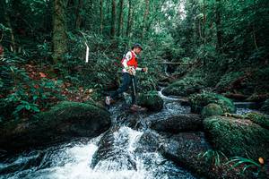 BIB: 
                            <button type="button" onclick="openModal(25246042)" class="btn btn-primary btn-sm float-right btn-popup" data-toggle="modal" data-target=".modal-high-quality">
                        <i class="fas fa-shopping-cart"></i> Add to Cart
                    </button>
                                            <button type="button" onclick="isThisMe(25246042, true)" class="btn btn-success btn-sm float-right btn-popup btn-isme hidden" data-toggle="tooltip" data-placement="bottom" title="นี่คือรูปของคุณใช่ไหม คลิกที่นี่เพื่อเอาเข้าอัลบั้ม">
                        <i class="fas fa-plus"></i> Add to album
                    </button>
                    <button type="button" onclick="isThisMe(25246042, false)" class="btn btn-warning btn-sm float-right btn-popup btn-isnotme hidden">
                        <i class="fas fa-ban"></i> Remove from album
                    </button>