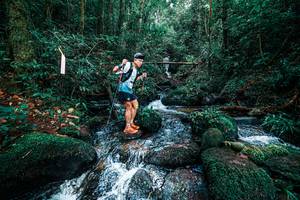 BIB: 
                            <button type="button" onclick="openModal(25246084)" class="btn btn-primary btn-sm float-right btn-popup" data-toggle="modal" data-target=".modal-high-quality">
                        <i class="fas fa-shopping-cart"></i> Add to Cart
                    </button>
                                            <button type="button" onclick="isThisMe(25246084, true)" class="btn btn-success btn-sm float-right btn-popup btn-isme hidden" data-toggle="tooltip" data-placement="bottom" title="นี่คือรูปของคุณใช่ไหม คลิกที่นี่เพื่อเอาเข้าอัลบั้ม">
                        <i class="fas fa-plus"></i> Add to album
                    </button>
                    <button type="button" onclick="isThisMe(25246084, false)" class="btn btn-warning btn-sm float-right btn-popup btn-isnotme hidden">
                        <i class="fas fa-ban"></i> Remove from album
                    </button>