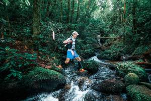 BIB: 
                            <button type="button" onclick="openModal(25245497)" class="btn btn-primary btn-sm float-right btn-popup" data-toggle="modal" data-target=".modal-high-quality">
                        <i class="fas fa-shopping-cart"></i> Add to Cart
                    </button>
                                            <button type="button" onclick="isThisMe(25245497, true)" class="btn btn-success btn-sm float-right btn-popup btn-isme hidden" data-toggle="tooltip" data-placement="bottom" title="นี่คือรูปของคุณใช่ไหม คลิกที่นี่เพื่อเอาเข้าอัลบั้ม">
                        <i class="fas fa-plus"></i> Add to album
                    </button>
                    <button type="button" onclick="isThisMe(25245497, false)" class="btn btn-warning btn-sm float-right btn-popup btn-isnotme hidden">
                        <i class="fas fa-ban"></i> Remove from album
                    </button>