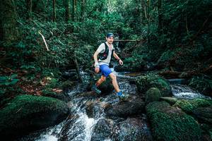 BIB: 
                            <button type="button" onclick="openModal(25245156)" class="btn btn-primary btn-sm float-right btn-popup" data-toggle="modal" data-target=".modal-high-quality">
                        <i class="fas fa-shopping-cart"></i> Add to Cart
                    </button>
                                            <button type="button" onclick="isThisMe(25245156, true)" class="btn btn-success btn-sm float-right btn-popup btn-isme hidden" data-toggle="tooltip" data-placement="bottom" title="นี่คือรูปของคุณใช่ไหม คลิกที่นี่เพื่อเอาเข้าอัลบั้ม">
                        <i class="fas fa-plus"></i> Add to album
                    </button>
                    <button type="button" onclick="isThisMe(25245156, false)" class="btn btn-warning btn-sm float-right btn-popup btn-isnotme hidden">
                        <i class="fas fa-ban"></i> Remove from album
                    </button>