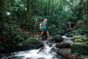 BIB: 
                            <button type="button" onclick="openModal(25244328)" class="btn btn-primary btn-sm float-right btn-popup" data-toggle="modal" data-target=".modal-high-quality">
                        <i class="fas fa-shopping-cart"></i> Add to Cart
                    </button>
                                            <button type="button" onclick="isThisMe(25244328, true)" class="btn btn-success btn-sm float-right btn-popup btn-isme hidden" data-toggle="tooltip" data-placement="bottom" title="นี่คือรูปของคุณใช่ไหม คลิกที่นี่เพื่อเอาเข้าอัลบั้ม">
                        <i class="fas fa-plus"></i> Add to album
                    </button>
                    <button type="button" onclick="isThisMe(25244328, false)" class="btn btn-warning btn-sm float-right btn-popup btn-isnotme hidden">
                        <i class="fas fa-ban"></i> Remove from album
                    </button>