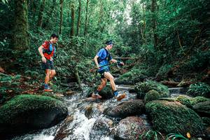 BIB: 
                            <button type="button" onclick="openModal(25245423)" class="btn btn-primary btn-sm float-right btn-popup" data-toggle="modal" data-target=".modal-high-quality">
                        <i class="fas fa-shopping-cart"></i> Add to Cart
                    </button>
                                            <button type="button" onclick="isThisMe(25245423, true)" class="btn btn-success btn-sm float-right btn-popup btn-isme hidden" data-toggle="tooltip" data-placement="bottom" title="นี่คือรูปของคุณใช่ไหม คลิกที่นี่เพื่อเอาเข้าอัลบั้ม">
                        <i class="fas fa-plus"></i> Add to album
                    </button>
                    <button type="button" onclick="isThisMe(25245423, false)" class="btn btn-warning btn-sm float-right btn-popup btn-isnotme hidden">
                        <i class="fas fa-ban"></i> Remove from album
                    </button>