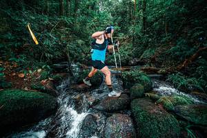 BIB: 
                            <button type="button" onclick="openModal(25246903)" class="btn btn-primary btn-sm float-right btn-popup" data-toggle="modal" data-target=".modal-high-quality">
                        <i class="fas fa-shopping-cart"></i> Add to Cart
                    </button>
                                            <button type="button" onclick="isThisMe(25246903, true)" class="btn btn-success btn-sm float-right btn-popup btn-isme hidden" data-toggle="tooltip" data-placement="bottom" title="นี่คือรูปของคุณใช่ไหม คลิกที่นี่เพื่อเอาเข้าอัลบั้ม">
                        <i class="fas fa-plus"></i> Add to album
                    </button>
                    <button type="button" onclick="isThisMe(25246903, false)" class="btn btn-warning btn-sm float-right btn-popup btn-isnotme hidden">
                        <i class="fas fa-ban"></i> Remove from album
                    </button>