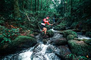 BIB: 
                            <button type="button" onclick="openModal(25246499)" class="btn btn-primary btn-sm float-right btn-popup" data-toggle="modal" data-target=".modal-high-quality">
                        <i class="fas fa-shopping-cart"></i> Add to Cart
                    </button>
                                            <button type="button" onclick="isThisMe(25246499, true)" class="btn btn-success btn-sm float-right btn-popup btn-isme hidden" data-toggle="tooltip" data-placement="bottom" title="นี่คือรูปของคุณใช่ไหม คลิกที่นี่เพื่อเอาเข้าอัลบั้ม">
                        <i class="fas fa-plus"></i> Add to album
                    </button>
                    <button type="button" onclick="isThisMe(25246499, false)" class="btn btn-warning btn-sm float-right btn-popup btn-isnotme hidden">
                        <i class="fas fa-ban"></i> Remove from album
                    </button>