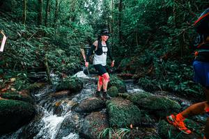 BIB: 
                            <button type="button" onclick="openModal(25245990)" class="btn btn-primary btn-sm float-right btn-popup" data-toggle="modal" data-target=".modal-high-quality">
                        <i class="fas fa-shopping-cart"></i> Add to Cart
                    </button>
                                            <button type="button" onclick="isThisMe(25245990, true)" class="btn btn-success btn-sm float-right btn-popup btn-isme hidden" data-toggle="tooltip" data-placement="bottom" title="นี่คือรูปของคุณใช่ไหม คลิกที่นี่เพื่อเอาเข้าอัลบั้ม">
                        <i class="fas fa-plus"></i> Add to album
                    </button>
                    <button type="button" onclick="isThisMe(25245990, false)" class="btn btn-warning btn-sm float-right btn-popup btn-isnotme hidden">
                        <i class="fas fa-ban"></i> Remove from album
                    </button>