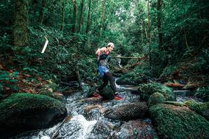 BIB: 
                            <button type="button" onclick="openModal(25245376)" class="btn btn-primary btn-sm float-right btn-popup" data-toggle="modal" data-target=".modal-high-quality">
                        <i class="fas fa-shopping-cart"></i> Add to Cart
                    </button>
                                            <button type="button" onclick="isThisMe(25245376, true)" class="btn btn-success btn-sm float-right btn-popup btn-isme hidden" data-toggle="tooltip" data-placement="bottom" title="นี่คือรูปของคุณใช่ไหม คลิกที่นี่เพื่อเอาเข้าอัลบั้ม">
                        <i class="fas fa-plus"></i> Add to album
                    </button>
                    <button type="button" onclick="isThisMe(25245376, false)" class="btn btn-warning btn-sm float-right btn-popup btn-isnotme hidden">
                        <i class="fas fa-ban"></i> Remove from album
                    </button>