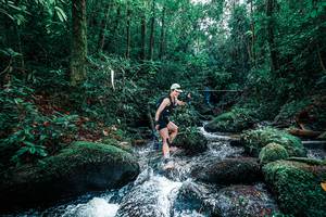 BIB: 
                            <button type="button" onclick="openModal(25244893)" class="btn btn-primary btn-sm float-right btn-popup" data-toggle="modal" data-target=".modal-high-quality">
                        <i class="fas fa-shopping-cart"></i> Add to Cart
                    </button>
                                            <button type="button" onclick="isThisMe(25244893, true)" class="btn btn-success btn-sm float-right btn-popup btn-isme hidden" data-toggle="tooltip" data-placement="bottom" title="นี่คือรูปของคุณใช่ไหม คลิกที่นี่เพื่อเอาเข้าอัลบั้ม">
                        <i class="fas fa-plus"></i> Add to album
                    </button>
                    <button type="button" onclick="isThisMe(25244893, false)" class="btn btn-warning btn-sm float-right btn-popup btn-isnotme hidden">
                        <i class="fas fa-ban"></i> Remove from album
                    </button>