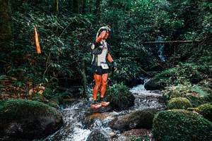 BIB: 
                            <button type="button" onclick="openModal(25244194)" class="btn btn-primary btn-sm float-right btn-popup" data-toggle="modal" data-target=".modal-high-quality">
                        <i class="fas fa-shopping-cart"></i> Add to Cart
                    </button>
                                            <button type="button" onclick="isThisMe(25244194, true)" class="btn btn-success btn-sm float-right btn-popup btn-isme hidden" data-toggle="tooltip" data-placement="bottom" title="นี่คือรูปของคุณใช่ไหม คลิกที่นี่เพื่อเอาเข้าอัลบั้ม">
                        <i class="fas fa-plus"></i> Add to album
                    </button>
                    <button type="button" onclick="isThisMe(25244194, false)" class="btn btn-warning btn-sm float-right btn-popup btn-isnotme hidden">
                        <i class="fas fa-ban"></i> Remove from album
                    </button>