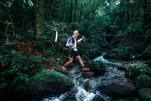 BIB: 
                            <button type="button" onclick="openModal(25245837)" class="btn btn-primary btn-sm float-right btn-popup" data-toggle="modal" data-target=".modal-high-quality">
                        <i class="fas fa-shopping-cart"></i> Add to Cart
                    </button>
                                            <button type="button" onclick="isThisMe(25245837, true)" class="btn btn-success btn-sm float-right btn-popup btn-isme hidden" data-toggle="tooltip" data-placement="bottom" title="นี่คือรูปของคุณใช่ไหม คลิกที่นี่เพื่อเอาเข้าอัลบั้ม">
                        <i class="fas fa-plus"></i> Add to album
                    </button>
                    <button type="button" onclick="isThisMe(25245837, false)" class="btn btn-warning btn-sm float-right btn-popup btn-isnotme hidden">
                        <i class="fas fa-ban"></i> Remove from album
                    </button>