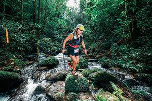 BIB: 
                            <button type="button" onclick="openModal(25244581)" class="btn btn-primary btn-sm float-right btn-popup" data-toggle="modal" data-target=".modal-high-quality">
                        <i class="fas fa-shopping-cart"></i> Add to Cart
                    </button>
                                            <button type="button" onclick="isThisMe(25244581, true)" class="btn btn-success btn-sm float-right btn-popup btn-isme hidden" data-toggle="tooltip" data-placement="bottom" title="นี่คือรูปของคุณใช่ไหม คลิกที่นี่เพื่อเอาเข้าอัลบั้ม">
                        <i class="fas fa-plus"></i> Add to album
                    </button>
                    <button type="button" onclick="isThisMe(25244581, false)" class="btn btn-warning btn-sm float-right btn-popup btn-isnotme hidden">
                        <i class="fas fa-ban"></i> Remove from album
                    </button>