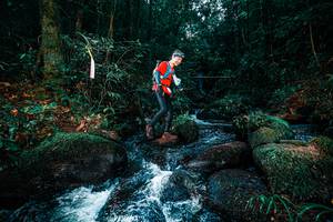 BIB: 
                            <button type="button" onclick="openModal(25247773)" class="btn btn-primary btn-sm float-right btn-popup" data-toggle="modal" data-target=".modal-high-quality">
                        <i class="fas fa-shopping-cart"></i> Add to Cart
                    </button>
                                            <button type="button" onclick="isThisMe(25247773, true)" class="btn btn-success btn-sm float-right btn-popup btn-isme hidden" data-toggle="tooltip" data-placement="bottom" title="นี่คือรูปของคุณใช่ไหม คลิกที่นี่เพื่อเอาเข้าอัลบั้ม">
                        <i class="fas fa-plus"></i> Add to album
                    </button>
                    <button type="button" onclick="isThisMe(25247773, false)" class="btn btn-warning btn-sm float-right btn-popup btn-isnotme hidden">
                        <i class="fas fa-ban"></i> Remove from album
                    </button>