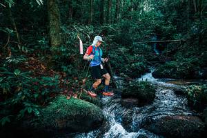 BIB: 
                            <button type="button" onclick="openModal(25245849)" class="btn btn-primary btn-sm float-right btn-popup" data-toggle="modal" data-target=".modal-high-quality">
                        <i class="fas fa-shopping-cart"></i> Add to Cart
                    </button>
                                            <button type="button" onclick="isThisMe(25245849, true)" class="btn btn-success btn-sm float-right btn-popup btn-isme hidden" data-toggle="tooltip" data-placement="bottom" title="นี่คือรูปของคุณใช่ไหม คลิกที่นี่เพื่อเอาเข้าอัลบั้ม">
                        <i class="fas fa-plus"></i> Add to album
                    </button>
                    <button type="button" onclick="isThisMe(25245849, false)" class="btn btn-warning btn-sm float-right btn-popup btn-isnotme hidden">
                        <i class="fas fa-ban"></i> Remove from album
                    </button>