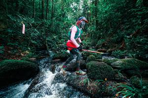 BIB: 
                            <button type="button" onclick="openModal(25245086)" class="btn btn-primary btn-sm float-right btn-popup" data-toggle="modal" data-target=".modal-high-quality">
                        <i class="fas fa-shopping-cart"></i> Add to Cart
                    </button>
                                            <button type="button" onclick="isThisMe(25245086, true)" class="btn btn-success btn-sm float-right btn-popup btn-isme hidden" data-toggle="tooltip" data-placement="bottom" title="นี่คือรูปของคุณใช่ไหม คลิกที่นี่เพื่อเอาเข้าอัลบั้ม">
                        <i class="fas fa-plus"></i> Add to album
                    </button>
                    <button type="button" onclick="isThisMe(25245086, false)" class="btn btn-warning btn-sm float-right btn-popup btn-isnotme hidden">
                        <i class="fas fa-ban"></i> Remove from album
                    </button>