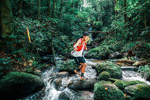 BIB: 
                            <button type="button" onclick="openModal(25244482)" class="btn btn-primary btn-sm float-right btn-popup" data-toggle="modal" data-target=".modal-high-quality">
                        <i class="fas fa-shopping-cart"></i> Add to Cart
                    </button>
                                            <button type="button" onclick="isThisMe(25244482, true)" class="btn btn-success btn-sm float-right btn-popup btn-isme hidden" data-toggle="tooltip" data-placement="bottom" title="นี่คือรูปของคุณใช่ไหม คลิกที่นี่เพื่อเอาเข้าอัลบั้ม">
                        <i class="fas fa-plus"></i> Add to album
                    </button>
                    <button type="button" onclick="isThisMe(25244482, false)" class="btn btn-warning btn-sm float-right btn-popup btn-isnotme hidden">
                        <i class="fas fa-ban"></i> Remove from album
                    </button>