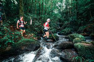 BIB: 
                            <button type="button" onclick="openModal(25246805)" class="btn btn-primary btn-sm float-right btn-popup" data-toggle="modal" data-target=".modal-high-quality">
                        <i class="fas fa-shopping-cart"></i> Add to Cart
                    </button>
                                            <button type="button" onclick="isThisMe(25246805, true)" class="btn btn-success btn-sm float-right btn-popup btn-isme hidden" data-toggle="tooltip" data-placement="bottom" title="นี่คือรูปของคุณใช่ไหม คลิกที่นี่เพื่อเอาเข้าอัลบั้ม">
                        <i class="fas fa-plus"></i> Add to album
                    </button>
                    <button type="button" onclick="isThisMe(25246805, false)" class="btn btn-warning btn-sm float-right btn-popup btn-isnotme hidden">
                        <i class="fas fa-ban"></i> Remove from album
                    </button>