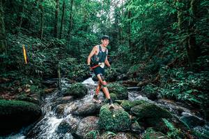 BIB: 
                            <button type="button" onclick="openModal(25244563)" class="btn btn-primary btn-sm float-right btn-popup" data-toggle="modal" data-target=".modal-high-quality">
                        <i class="fas fa-shopping-cart"></i> Add to Cart
                    </button>
                                            <button type="button" onclick="isThisMe(25244563, true)" class="btn btn-success btn-sm float-right btn-popup btn-isme hidden" data-toggle="tooltip" data-placement="bottom" title="นี่คือรูปของคุณใช่ไหม คลิกที่นี่เพื่อเอาเข้าอัลบั้ม">
                        <i class="fas fa-plus"></i> Add to album
                    </button>
                    <button type="button" onclick="isThisMe(25244563, false)" class="btn btn-warning btn-sm float-right btn-popup btn-isnotme hidden">
                        <i class="fas fa-ban"></i> Remove from album
                    </button>