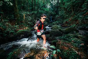 BIB: 
                            <button type="button" onclick="openModal(25244261)" class="btn btn-primary btn-sm float-right btn-popup" data-toggle="modal" data-target=".modal-high-quality">
                        <i class="fas fa-shopping-cart"></i> Add to Cart
                    </button>
                                            <button type="button" onclick="isThisMe(25244261, true)" class="btn btn-success btn-sm float-right btn-popup btn-isme hidden" data-toggle="tooltip" data-placement="bottom" title="นี่คือรูปของคุณใช่ไหม คลิกที่นี่เพื่อเอาเข้าอัลบั้ม">
                        <i class="fas fa-plus"></i> Add to album
                    </button>
                    <button type="button" onclick="isThisMe(25244261, false)" class="btn btn-warning btn-sm float-right btn-popup btn-isnotme hidden">
                        <i class="fas fa-ban"></i> Remove from album
                    </button>