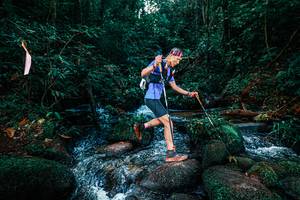 BIB: 
                            <button type="button" onclick="openModal(25247066)" class="btn btn-primary btn-sm float-right btn-popup" data-toggle="modal" data-target=".modal-high-quality">
                        <i class="fas fa-shopping-cart"></i> Add to Cart
                    </button>
                                            <button type="button" onclick="isThisMe(25247066, true)" class="btn btn-success btn-sm float-right btn-popup btn-isme hidden" data-toggle="tooltip" data-placement="bottom" title="นี่คือรูปของคุณใช่ไหม คลิกที่นี่เพื่อเอาเข้าอัลบั้ม">
                        <i class="fas fa-plus"></i> Add to album
                    </button>
                    <button type="button" onclick="isThisMe(25247066, false)" class="btn btn-warning btn-sm float-right btn-popup btn-isnotme hidden">
                        <i class="fas fa-ban"></i> Remove from album
                    </button>