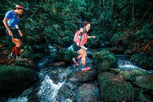 BIB: 
                            <button type="button" onclick="openModal(25247411)" class="btn btn-primary btn-sm float-right btn-popup" data-toggle="modal" data-target=".modal-high-quality">
                        <i class="fas fa-shopping-cart"></i> Add to Cart
                    </button>
                                            <button type="button" onclick="isThisMe(25247411, true)" class="btn btn-success btn-sm float-right btn-popup btn-isme hidden" data-toggle="tooltip" data-placement="bottom" title="นี่คือรูปของคุณใช่ไหม คลิกที่นี่เพื่อเอาเข้าอัลบั้ม">
                        <i class="fas fa-plus"></i> Add to album
                    </button>
                    <button type="button" onclick="isThisMe(25247411, false)" class="btn btn-warning btn-sm float-right btn-popup btn-isnotme hidden">
                        <i class="fas fa-ban"></i> Remove from album
                    </button>