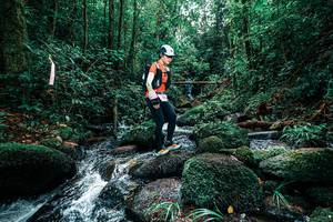 BIB: 
                            <button type="button" onclick="openModal(25245613)" class="btn btn-primary btn-sm float-right btn-popup" data-toggle="modal" data-target=".modal-high-quality">
                        <i class="fas fa-shopping-cart"></i> Add to Cart
                    </button>
                                            <button type="button" onclick="isThisMe(25245613, true)" class="btn btn-success btn-sm float-right btn-popup btn-isme hidden" data-toggle="tooltip" data-placement="bottom" title="นี่คือรูปของคุณใช่ไหม คลิกที่นี่เพื่อเอาเข้าอัลบั้ม">
                        <i class="fas fa-plus"></i> Add to album
                    </button>
                    <button type="button" onclick="isThisMe(25245613, false)" class="btn btn-warning btn-sm float-right btn-popup btn-isnotme hidden">
                        <i class="fas fa-ban"></i> Remove from album
                    </button>