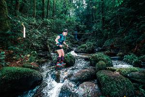 BIB: 
                            <button type="button" onclick="openModal(25246471)" class="btn btn-primary btn-sm float-right btn-popup" data-toggle="modal" data-target=".modal-high-quality">
                        <i class="fas fa-shopping-cart"></i> Add to Cart
                    </button>
                                            <button type="button" onclick="isThisMe(25246471, true)" class="btn btn-success btn-sm float-right btn-popup btn-isme hidden" data-toggle="tooltip" data-placement="bottom" title="นี่คือรูปของคุณใช่ไหม คลิกที่นี่เพื่อเอาเข้าอัลบั้ม">
                        <i class="fas fa-plus"></i> Add to album
                    </button>
                    <button type="button" onclick="isThisMe(25246471, false)" class="btn btn-warning btn-sm float-right btn-popup btn-isnotme hidden">
                        <i class="fas fa-ban"></i> Remove from album
                    </button>