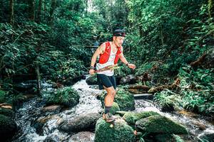 BIB: 
                            <button type="button" onclick="openModal(25244486)" class="btn btn-primary btn-sm float-right btn-popup" data-toggle="modal" data-target=".modal-high-quality">
                        <i class="fas fa-shopping-cart"></i> Add to Cart
                    </button>
                                            <button type="button" onclick="isThisMe(25244486, true)" class="btn btn-success btn-sm float-right btn-popup btn-isme hidden" data-toggle="tooltip" data-placement="bottom" title="นี่คือรูปของคุณใช่ไหม คลิกที่นี่เพื่อเอาเข้าอัลบั้ม">
                        <i class="fas fa-plus"></i> Add to album
                    </button>
                    <button type="button" onclick="isThisMe(25244486, false)" class="btn btn-warning btn-sm float-right btn-popup btn-isnotme hidden">
                        <i class="fas fa-ban"></i> Remove from album
                    </button>