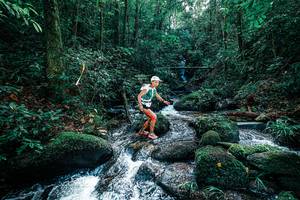 BIB: 
                            <button type="button" onclick="openModal(25244488)" class="btn btn-primary btn-sm float-right btn-popup" data-toggle="modal" data-target=".modal-high-quality">
                        <i class="fas fa-shopping-cart"></i> Add to Cart
                    </button>
                                            <button type="button" onclick="isThisMe(25244488, true)" class="btn btn-success btn-sm float-right btn-popup btn-isme hidden" data-toggle="tooltip" data-placement="bottom" title="นี่คือรูปของคุณใช่ไหม คลิกที่นี่เพื่อเอาเข้าอัลบั้ม">
                        <i class="fas fa-plus"></i> Add to album
                    </button>
                    <button type="button" onclick="isThisMe(25244488, false)" class="btn btn-warning btn-sm float-right btn-popup btn-isnotme hidden">
                        <i class="fas fa-ban"></i> Remove from album
                    </button>