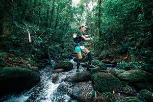 BIB: 
                            <button type="button" onclick="openModal(25245491)" class="btn btn-primary btn-sm float-right btn-popup" data-toggle="modal" data-target=".modal-high-quality">
                        <i class="fas fa-shopping-cart"></i> Add to Cart
                    </button>
                                            <button type="button" onclick="isThisMe(25245491, true)" class="btn btn-success btn-sm float-right btn-popup btn-isme hidden" data-toggle="tooltip" data-placement="bottom" title="นี่คือรูปของคุณใช่ไหม คลิกที่นี่เพื่อเอาเข้าอัลบั้ม">
                        <i class="fas fa-plus"></i> Add to album
                    </button>
                    <button type="button" onclick="isThisMe(25245491, false)" class="btn btn-warning btn-sm float-right btn-popup btn-isnotme hidden">
                        <i class="fas fa-ban"></i> Remove from album
                    </button>