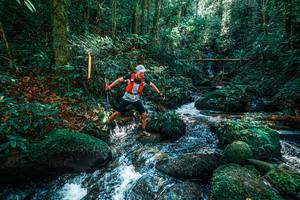 BIB: 
                            <button type="button" onclick="openModal(25244650)" class="btn btn-primary btn-sm float-right btn-popup" data-toggle="modal" data-target=".modal-high-quality">
                        <i class="fas fa-shopping-cart"></i> Add to Cart
                    </button>
                                            <button type="button" onclick="isThisMe(25244650, true)" class="btn btn-success btn-sm float-right btn-popup btn-isme hidden" data-toggle="tooltip" data-placement="bottom" title="นี่คือรูปของคุณใช่ไหม คลิกที่นี่เพื่อเอาเข้าอัลบั้ม">
                        <i class="fas fa-plus"></i> Add to album
                    </button>
                    <button type="button" onclick="isThisMe(25244650, false)" class="btn btn-warning btn-sm float-right btn-popup btn-isnotme hidden">
                        <i class="fas fa-ban"></i> Remove from album
                    </button>