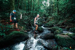 BIB: 
                            <button type="button" onclick="openModal(25245647)" class="btn btn-primary btn-sm float-right btn-popup" data-toggle="modal" data-target=".modal-high-quality">
                        <i class="fas fa-shopping-cart"></i> Add to Cart
                    </button>
                                            <button type="button" onclick="isThisMe(25245647, true)" class="btn btn-success btn-sm float-right btn-popup btn-isme hidden" data-toggle="tooltip" data-placement="bottom" title="นี่คือรูปของคุณใช่ไหม คลิกที่นี่เพื่อเอาเข้าอัลบั้ม">
                        <i class="fas fa-plus"></i> Add to album
                    </button>
                    <button type="button" onclick="isThisMe(25245647, false)" class="btn btn-warning btn-sm float-right btn-popup btn-isnotme hidden">
                        <i class="fas fa-ban"></i> Remove from album
                    </button>