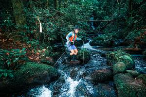 BIB: 
                            <button type="button" onclick="openModal(25247384)" class="btn btn-primary btn-sm float-right btn-popup" data-toggle="modal" data-target=".modal-high-quality">
                        <i class="fas fa-shopping-cart"></i> Add to Cart
                    </button>
                                            <button type="button" onclick="isThisMe(25247384, true)" class="btn btn-success btn-sm float-right btn-popup btn-isme hidden" data-toggle="tooltip" data-placement="bottom" title="นี่คือรูปของคุณใช่ไหม คลิกที่นี่เพื่อเอาเข้าอัลบั้ม">
                        <i class="fas fa-plus"></i> Add to album
                    </button>
                    <button type="button" onclick="isThisMe(25247384, false)" class="btn btn-warning btn-sm float-right btn-popup btn-isnotme hidden">
                        <i class="fas fa-ban"></i> Remove from album
                    </button>