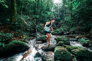 BIB: 
                            <button type="button" onclick="openModal(25244602)" class="btn btn-primary btn-sm float-right btn-popup" data-toggle="modal" data-target=".modal-high-quality">
                        <i class="fas fa-shopping-cart"></i> Add to Cart
                    </button>
                                            <button type="button" onclick="isThisMe(25244602, true)" class="btn btn-success btn-sm float-right btn-popup btn-isme hidden" data-toggle="tooltip" data-placement="bottom" title="นี่คือรูปของคุณใช่ไหม คลิกที่นี่เพื่อเอาเข้าอัลบั้ม">
                        <i class="fas fa-plus"></i> Add to album
                    </button>
                    <button type="button" onclick="isThisMe(25244602, false)" class="btn btn-warning btn-sm float-right btn-popup btn-isnotme hidden">
                        <i class="fas fa-ban"></i> Remove from album
                    </button>