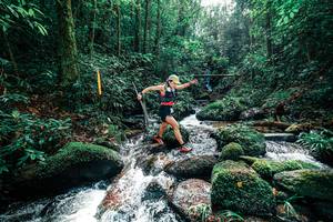 BIB: 
                            <button type="button" onclick="openModal(25244573)" class="btn btn-primary btn-sm float-right btn-popup" data-toggle="modal" data-target=".modal-high-quality">
                        <i class="fas fa-shopping-cart"></i> Add to Cart
                    </button>
                                            <button type="button" onclick="isThisMe(25244573, true)" class="btn btn-success btn-sm float-right btn-popup btn-isme hidden" data-toggle="tooltip" data-placement="bottom" title="นี่คือรูปของคุณใช่ไหม คลิกที่นี่เพื่อเอาเข้าอัลบั้ม">
                        <i class="fas fa-plus"></i> Add to album
                    </button>
                    <button type="button" onclick="isThisMe(25244573, false)" class="btn btn-warning btn-sm float-right btn-popup btn-isnotme hidden">
                        <i class="fas fa-ban"></i> Remove from album
                    </button>