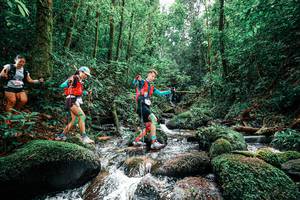 BIB: 
                            <button type="button" onclick="openModal(25245284)" class="btn btn-primary btn-sm float-right btn-popup" data-toggle="modal" data-target=".modal-high-quality">
                        <i class="fas fa-shopping-cart"></i> Add to Cart
                    </button>
                                            <button type="button" onclick="isThisMe(25245284, true)" class="btn btn-success btn-sm float-right btn-popup btn-isme hidden" data-toggle="tooltip" data-placement="bottom" title="นี่คือรูปของคุณใช่ไหม คลิกที่นี่เพื่อเอาเข้าอัลบั้ม">
                        <i class="fas fa-plus"></i> Add to album
                    </button>
                    <button type="button" onclick="isThisMe(25245284, false)" class="btn btn-warning btn-sm float-right btn-popup btn-isnotme hidden">
                        <i class="fas fa-ban"></i> Remove from album
                    </button>