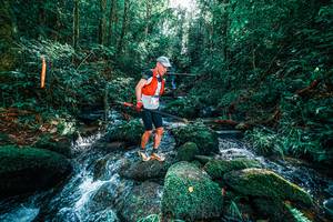 BIB: 
                            <button type="button" onclick="openModal(25244658)" class="btn btn-primary btn-sm float-right btn-popup" data-toggle="modal" data-target=".modal-high-quality">
                        <i class="fas fa-shopping-cart"></i> Add to Cart
                    </button>
                                            <button type="button" onclick="isThisMe(25244658, true)" class="btn btn-success btn-sm float-right btn-popup btn-isme hidden" data-toggle="tooltip" data-placement="bottom" title="นี่คือรูปของคุณใช่ไหม คลิกที่นี่เพื่อเอาเข้าอัลบั้ม">
                        <i class="fas fa-plus"></i> Add to album
                    </button>
                    <button type="button" onclick="isThisMe(25244658, false)" class="btn btn-warning btn-sm float-right btn-popup btn-isnotme hidden">
                        <i class="fas fa-ban"></i> Remove from album
                    </button>