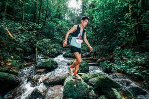 BIB: 
                            <button type="button" onclick="openModal(25244607)" class="btn btn-primary btn-sm float-right btn-popup" data-toggle="modal" data-target=".modal-high-quality">
                        <i class="fas fa-shopping-cart"></i> Add to Cart
                    </button>
                                            <button type="button" onclick="isThisMe(25244607, true)" class="btn btn-success btn-sm float-right btn-popup btn-isme hidden" data-toggle="tooltip" data-placement="bottom" title="นี่คือรูปของคุณใช่ไหม คลิกที่นี่เพื่อเอาเข้าอัลบั้ม">
                        <i class="fas fa-plus"></i> Add to album
                    </button>
                    <button type="button" onclick="isThisMe(25244607, false)" class="btn btn-warning btn-sm float-right btn-popup btn-isnotme hidden">
                        <i class="fas fa-ban"></i> Remove from album
                    </button>