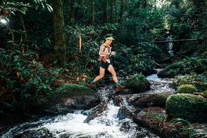 BIB: 
                            <button type="button" onclick="openModal(25244181)" class="btn btn-primary btn-sm float-right btn-popup" data-toggle="modal" data-target=".modal-high-quality">
                        <i class="fas fa-shopping-cart"></i> Add to Cart
                    </button>
                                            <button type="button" onclick="isThisMe(25244181, true)" class="btn btn-success btn-sm float-right btn-popup btn-isme hidden" data-toggle="tooltip" data-placement="bottom" title="นี่คือรูปของคุณใช่ไหม คลิกที่นี่เพื่อเอาเข้าอัลบั้ม">
                        <i class="fas fa-plus"></i> Add to album
                    </button>
                    <button type="button" onclick="isThisMe(25244181, false)" class="btn btn-warning btn-sm float-right btn-popup btn-isnotme hidden">
                        <i class="fas fa-ban"></i> Remove from album
                    </button>