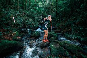 BIB: 
                            <button type="button" onclick="openModal(25245134)" class="btn btn-primary btn-sm float-right btn-popup" data-toggle="modal" data-target=".modal-high-quality">
                        <i class="fas fa-shopping-cart"></i> Add to Cart
                    </button>
                                            <button type="button" onclick="isThisMe(25245134, true)" class="btn btn-success btn-sm float-right btn-popup btn-isme hidden" data-toggle="tooltip" data-placement="bottom" title="นี่คือรูปของคุณใช่ไหม คลิกที่นี่เพื่อเอาเข้าอัลบั้ม">
                        <i class="fas fa-plus"></i> Add to album
                    </button>
                    <button type="button" onclick="isThisMe(25245134, false)" class="btn btn-warning btn-sm float-right btn-popup btn-isnotme hidden">
                        <i class="fas fa-ban"></i> Remove from album
                    </button>