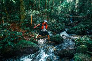 BIB: 
                            <button type="button" onclick="openModal(25244647)" class="btn btn-primary btn-sm float-right btn-popup" data-toggle="modal" data-target=".modal-high-quality">
                        <i class="fas fa-shopping-cart"></i> Add to Cart
                    </button>
                                            <button type="button" onclick="isThisMe(25244647, true)" class="btn btn-success btn-sm float-right btn-popup btn-isme hidden" data-toggle="tooltip" data-placement="bottom" title="นี่คือรูปของคุณใช่ไหม คลิกที่นี่เพื่อเอาเข้าอัลบั้ม">
                        <i class="fas fa-plus"></i> Add to album
                    </button>
                    <button type="button" onclick="isThisMe(25244647, false)" class="btn btn-warning btn-sm float-right btn-popup btn-isnotme hidden">
                        <i class="fas fa-ban"></i> Remove from album
                    </button>