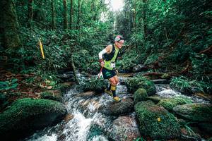 BIB: 
                            <button type="button" onclick="openModal(25244793)" class="btn btn-primary btn-sm float-right btn-popup" data-toggle="modal" data-target=".modal-high-quality">
                        <i class="fas fa-shopping-cart"></i> Add to Cart
                    </button>
                                            <button type="button" onclick="isThisMe(25244793, true)" class="btn btn-success btn-sm float-right btn-popup btn-isme hidden" data-toggle="tooltip" data-placement="bottom" title="นี่คือรูปของคุณใช่ไหม คลิกที่นี่เพื่อเอาเข้าอัลบั้ม">
                        <i class="fas fa-plus"></i> Add to album
                    </button>
                    <button type="button" onclick="isThisMe(25244793, false)" class="btn btn-warning btn-sm float-right btn-popup btn-isnotme hidden">
                        <i class="fas fa-ban"></i> Remove from album
                    </button>