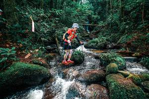 BIB: 
                            <button type="button" onclick="openModal(25247213)" class="btn btn-primary btn-sm float-right btn-popup" data-toggle="modal" data-target=".modal-high-quality">
                        <i class="fas fa-shopping-cart"></i> Add to Cart
                    </button>
                                            <button type="button" onclick="isThisMe(25247213, true)" class="btn btn-success btn-sm float-right btn-popup btn-isme hidden" data-toggle="tooltip" data-placement="bottom" title="นี่คือรูปของคุณใช่ไหม คลิกที่นี่เพื่อเอาเข้าอัลบั้ม">
                        <i class="fas fa-plus"></i> Add to album
                    </button>
                    <button type="button" onclick="isThisMe(25247213, false)" class="btn btn-warning btn-sm float-right btn-popup btn-isnotme hidden">
                        <i class="fas fa-ban"></i> Remove from album
                    </button>