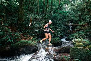 BIB: 
                            <button type="button" onclick="openModal(25244281)" class="btn btn-primary btn-sm float-right btn-popup" data-toggle="modal" data-target=".modal-high-quality">
                        <i class="fas fa-shopping-cart"></i> Add to Cart
                    </button>
                                            <button type="button" onclick="isThisMe(25244281, true)" class="btn btn-success btn-sm float-right btn-popup btn-isme hidden" data-toggle="tooltip" data-placement="bottom" title="นี่คือรูปของคุณใช่ไหม คลิกที่นี่เพื่อเอาเข้าอัลบั้ม">
                        <i class="fas fa-plus"></i> Add to album
                    </button>
                    <button type="button" onclick="isThisMe(25244281, false)" class="btn btn-warning btn-sm float-right btn-popup btn-isnotme hidden">
                        <i class="fas fa-ban"></i> Remove from album
                    </button>