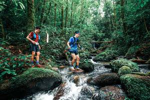 BIB: 
                            <button type="button" onclick="openModal(25245416)" class="btn btn-primary btn-sm float-right btn-popup" data-toggle="modal" data-target=".modal-high-quality">
                        <i class="fas fa-shopping-cart"></i> Add to Cart
                    </button>
                                            <button type="button" onclick="isThisMe(25245416, true)" class="btn btn-success btn-sm float-right btn-popup btn-isme hidden" data-toggle="tooltip" data-placement="bottom" title="นี่คือรูปของคุณใช่ไหม คลิกที่นี่เพื่อเอาเข้าอัลบั้ม">
                        <i class="fas fa-plus"></i> Add to album
                    </button>
                    <button type="button" onclick="isThisMe(25245416, false)" class="btn btn-warning btn-sm float-right btn-popup btn-isnotme hidden">
                        <i class="fas fa-ban"></i> Remove from album
                    </button>