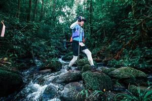 BIB: 
                            <button type="button" onclick="openModal(25246147)" class="btn btn-primary btn-sm float-right btn-popup" data-toggle="modal" data-target=".modal-high-quality">
                        <i class="fas fa-shopping-cart"></i> Add to Cart
                    </button>
                                            <button type="button" onclick="isThisMe(25246147, true)" class="btn btn-success btn-sm float-right btn-popup btn-isme hidden" data-toggle="tooltip" data-placement="bottom" title="นี่คือรูปของคุณใช่ไหม คลิกที่นี่เพื่อเอาเข้าอัลบั้ม">
                        <i class="fas fa-plus"></i> Add to album
                    </button>
                    <button type="button" onclick="isThisMe(25246147, false)" class="btn btn-warning btn-sm float-right btn-popup btn-isnotme hidden">
                        <i class="fas fa-ban"></i> Remove from album
                    </button>