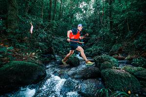 BIB: 
                            <button type="button" onclick="openModal(25246181)" class="btn btn-primary btn-sm float-right btn-popup" data-toggle="modal" data-target=".modal-high-quality">
                        <i class="fas fa-shopping-cart"></i> Add to Cart
                    </button>
                                            <button type="button" onclick="isThisMe(25246181, true)" class="btn btn-success btn-sm float-right btn-popup btn-isme hidden" data-toggle="tooltip" data-placement="bottom" title="นี่คือรูปของคุณใช่ไหม คลิกที่นี่เพื่อเอาเข้าอัลบั้ม">
                        <i class="fas fa-plus"></i> Add to album
                    </button>
                    <button type="button" onclick="isThisMe(25246181, false)" class="btn btn-warning btn-sm float-right btn-popup btn-isnotme hidden">
                        <i class="fas fa-ban"></i> Remove from album
                    </button>